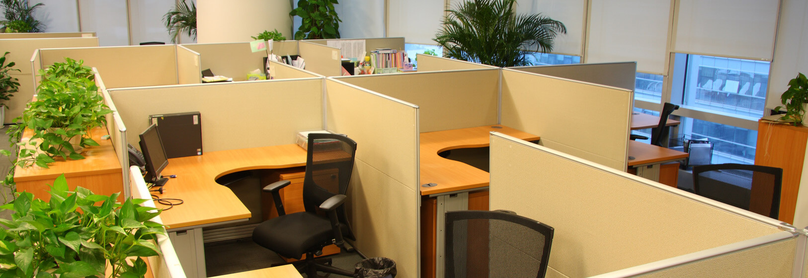 BSOSC | Cubicles & Panel Systems | Charleston Office Furniture